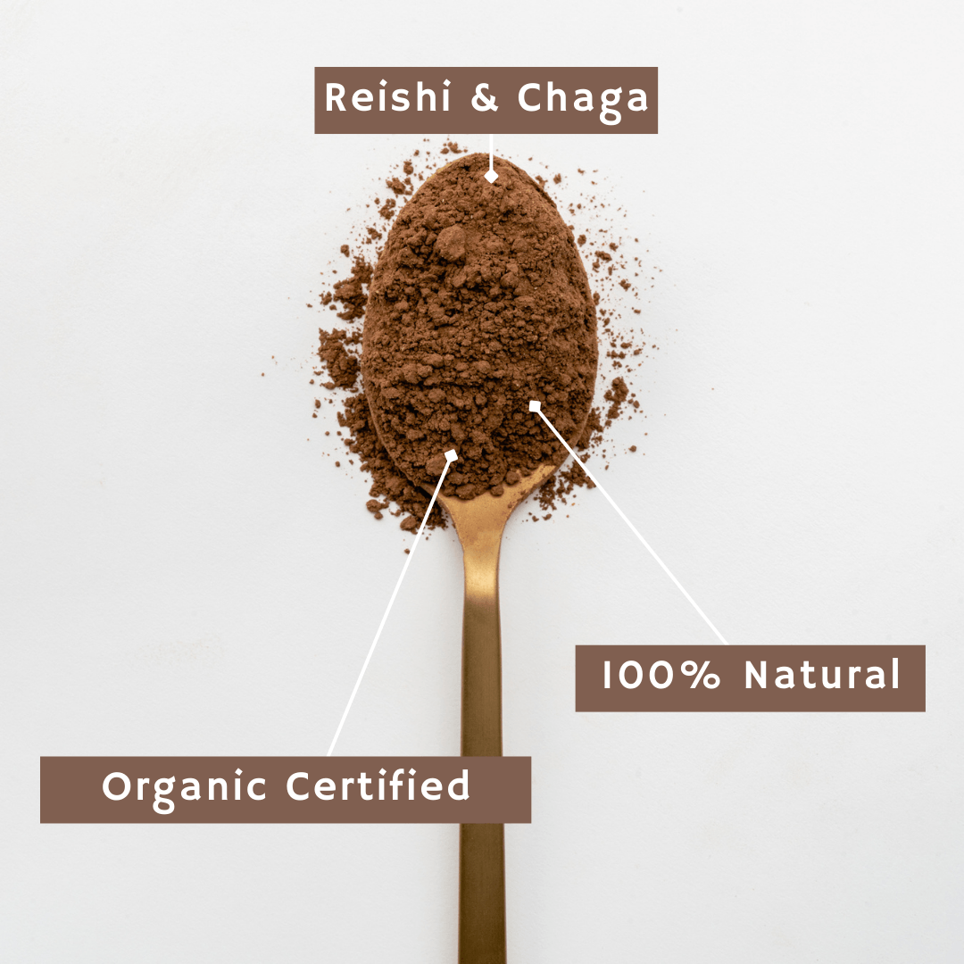 Choco Chill zur Stärkung des Gehirns