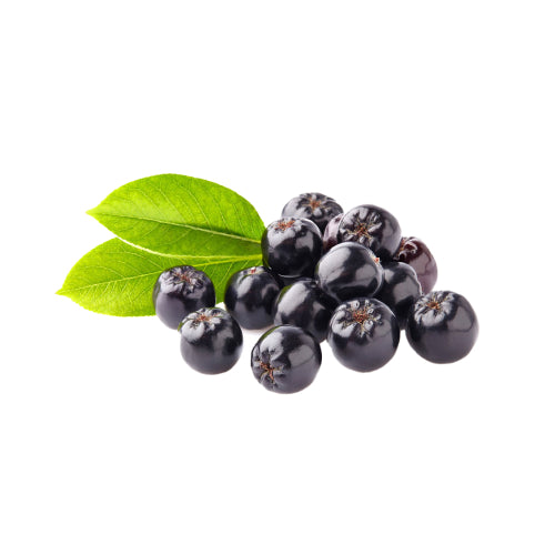 Aronia